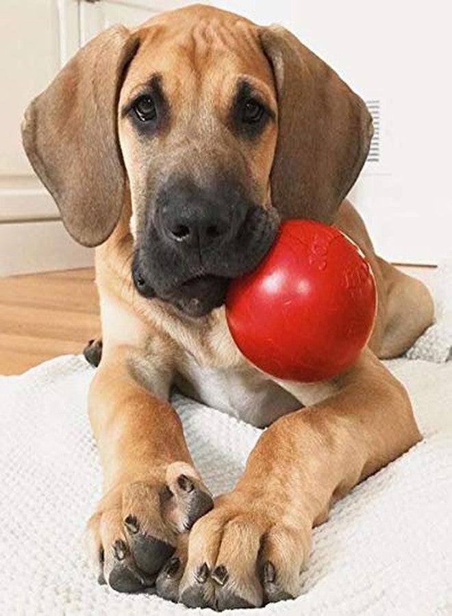 Jolly Pets Tug-n-Toss Heavy Duty Dog Toy Ball with Handle, 3 Inches/Mini, Red (403 RD) - Image 2